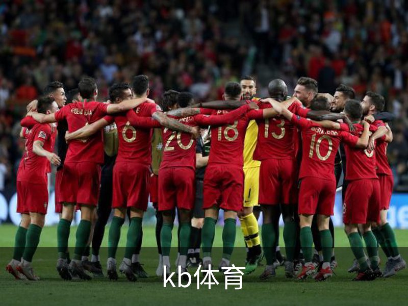 KB体育·(中国)官方网站-KBSPORTS